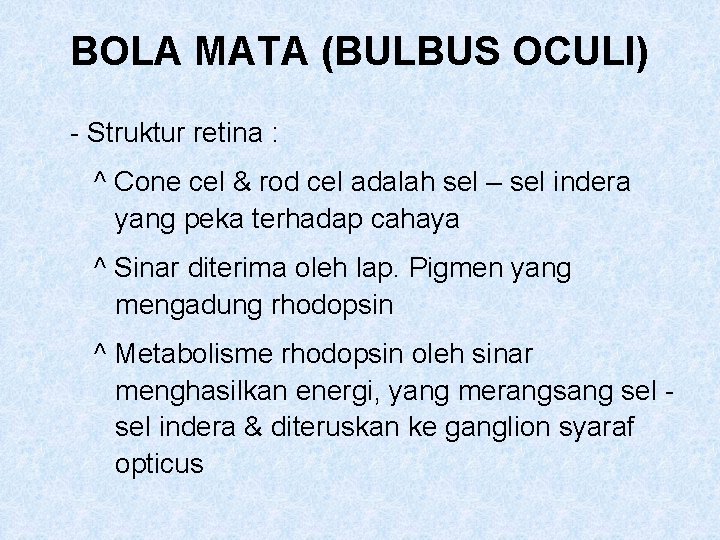 BOLA MATA (BULBUS OCULI) - Struktur retina : ^ Cone cel & rod cel