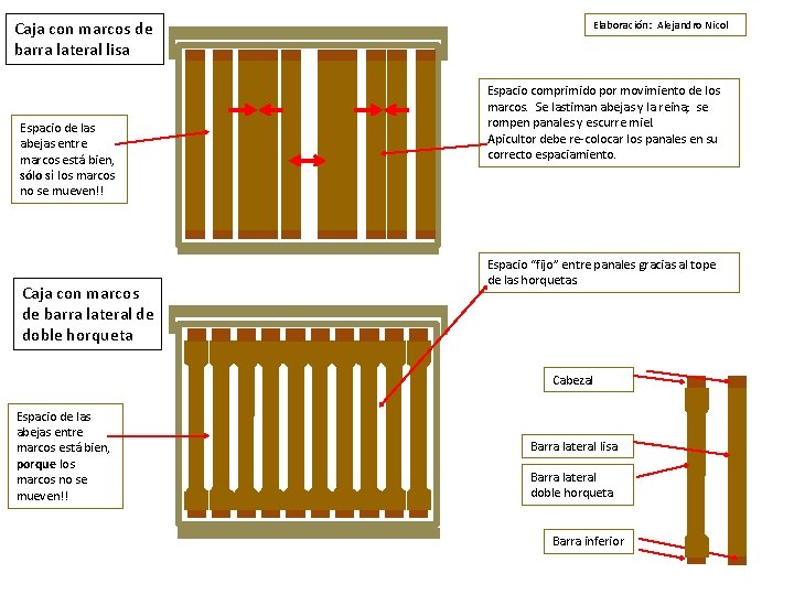 Caja con marcos de barra lateral lisa Espacio de las abejas entre marcos está