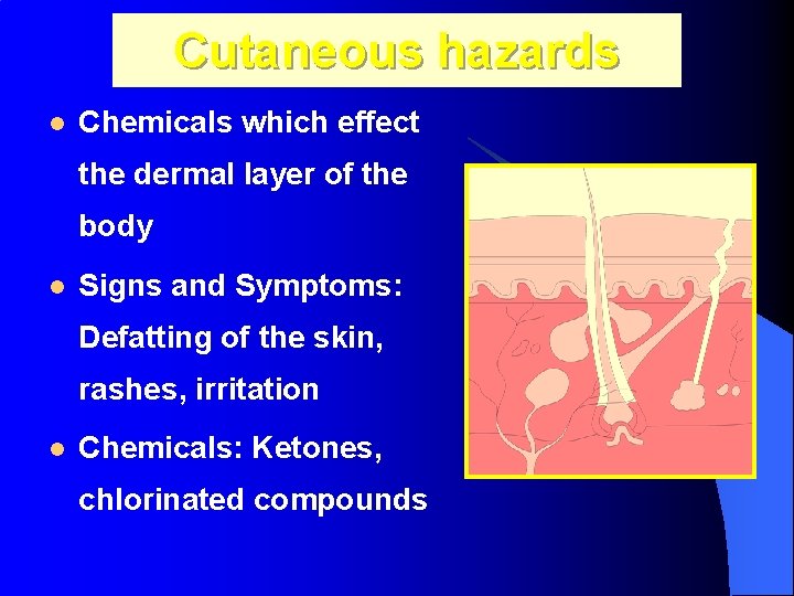 Cutaneous hazards l Chemicals which effect the dermal layer of the body l Signs