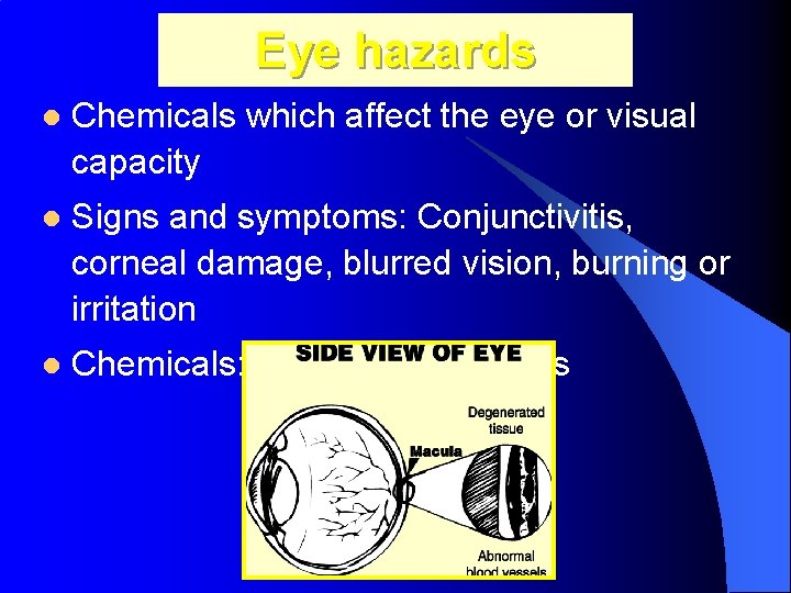 Eye hazards l Chemicals which affect the eye or visual capacity l Signs and