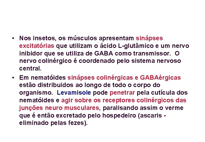  • Nos insetos, os músculos apresentam sinápses excitatórias que utilizam o ácido L-glutâmico