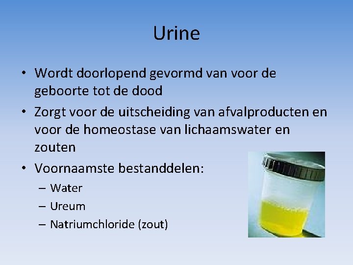 Urine • Wordt doorlopend gevormd van voor de geboorte tot de dood • Zorgt