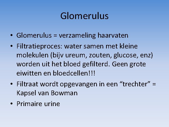 Glomerulus • Glomerulus = verzameling haarvaten • Filtratieproces: water samen met kleine molekulen (bijv