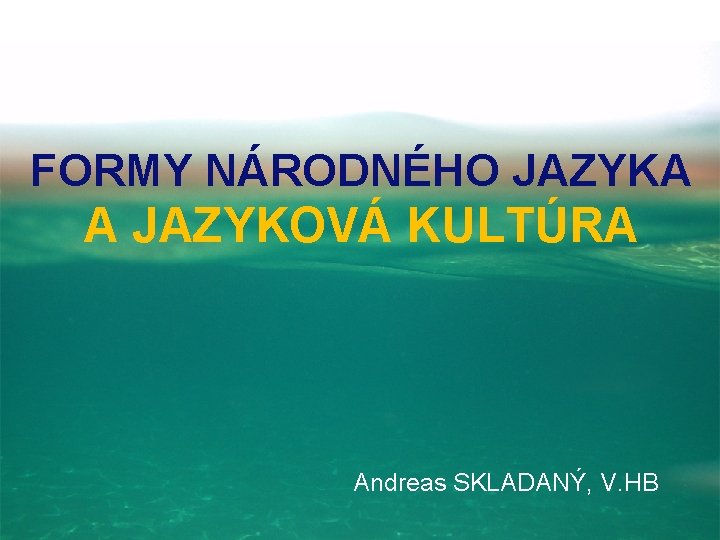 FORMY NÁRODNÉHO JAZYKA A JAZYKOVÁ KULTÚRA Andreas SKLADANÝ, V. HB 