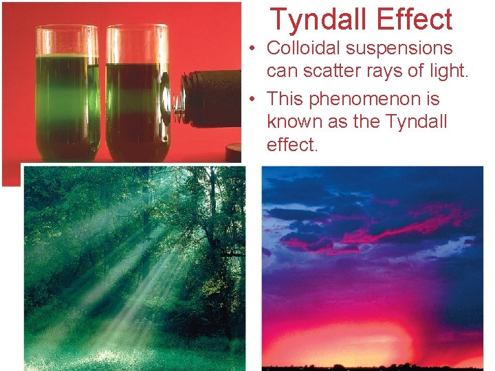 Tyndall Effect • Colloidal suspensions can scatter rays of light. • This phenomenon is
