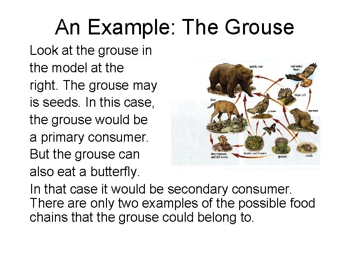 An Example: The Grouse Look at the grouse in the model at the right.