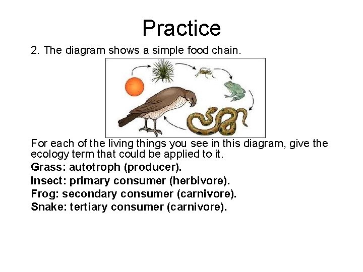 Practice 2. The diagram shows a simple food chain. For each of the living