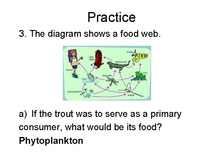 Practice 3. The diagram shows a food web. a) If the trout was to