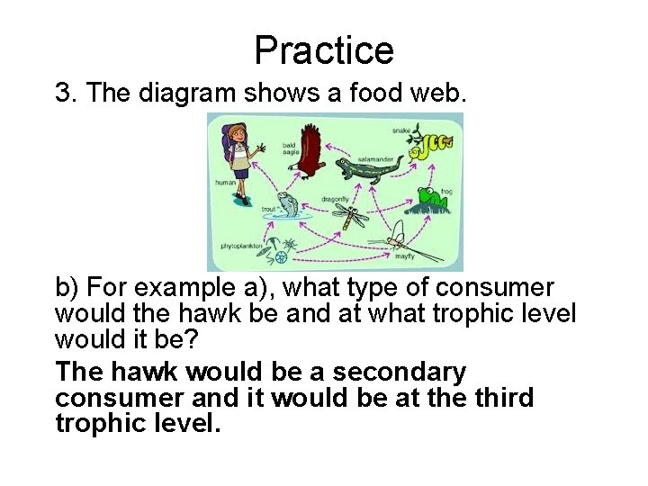 Practice 3. The diagram shows a food web. b) For example a), what type