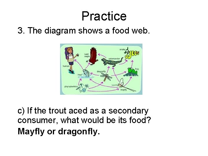 Practice 3. The diagram shows a food web. c) If the trout aced as