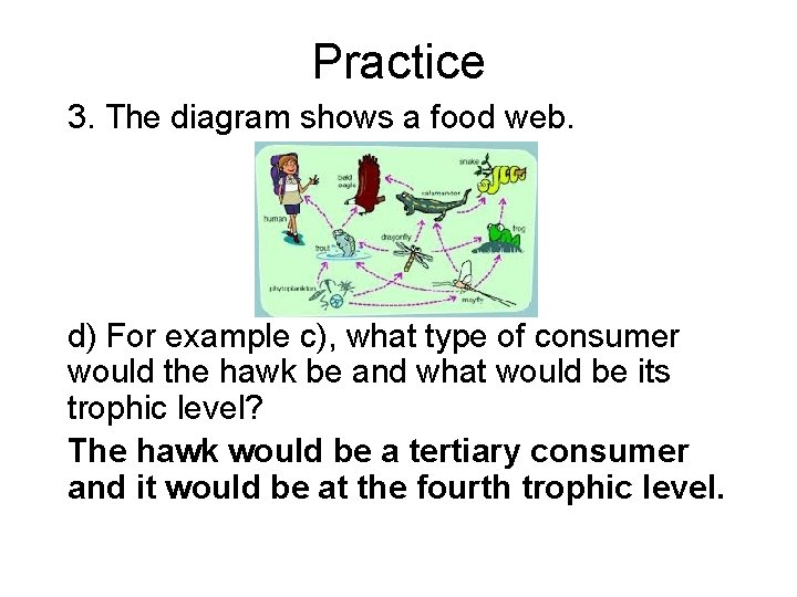 Practice 3. The diagram shows a food web. d) For example c), what type