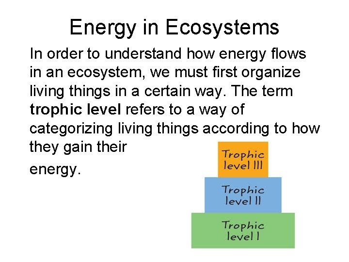 Energy in Ecosystems In order to understand how energy flows in an ecosystem, we