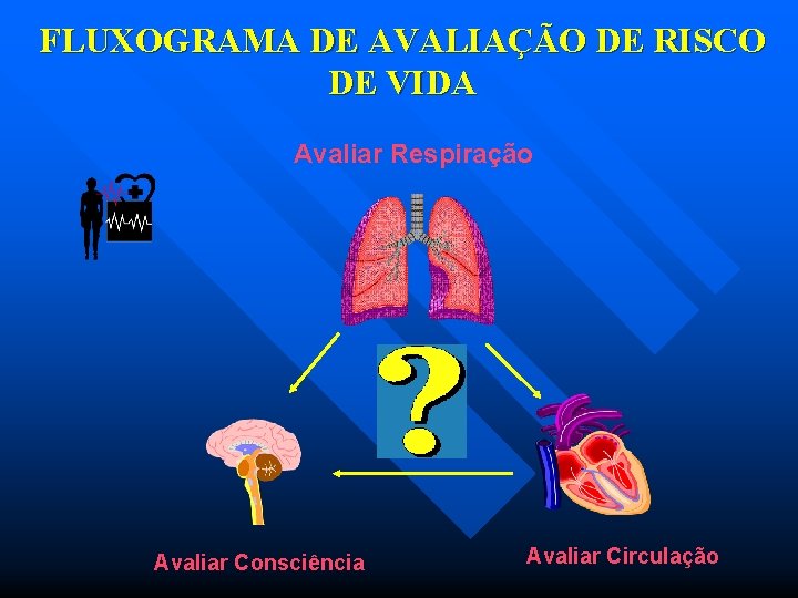 FLUXOGRAMA DE AVALIAÇÃO DE RISCO DE VIDA Avaliar Respiração Avaliar Consciência Avaliar Circulação 