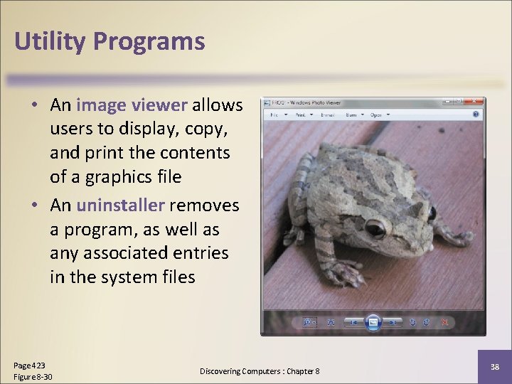 Utility Programs • An image viewer allows users to display, copy, and print the