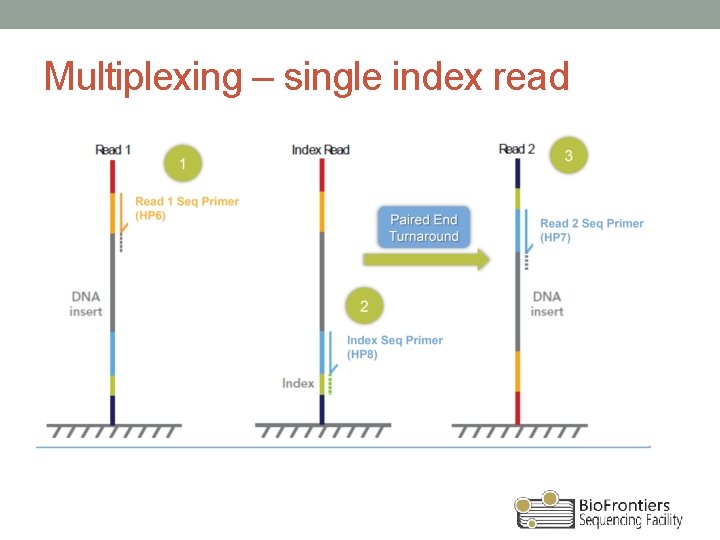 Multiplexing – single index read 