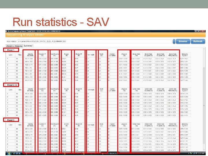 Run statistics - SAV • df 