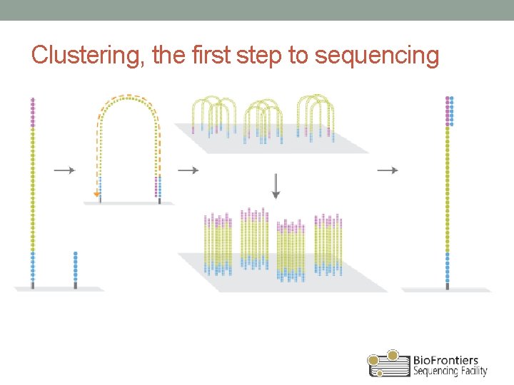 Clustering, the first step to sequencing 