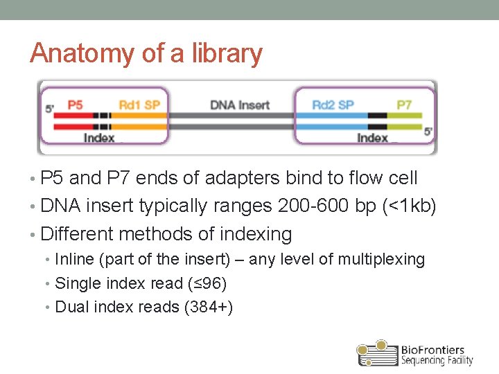 Anatomy of a library • P 5 and P 7 ends of adapters bind