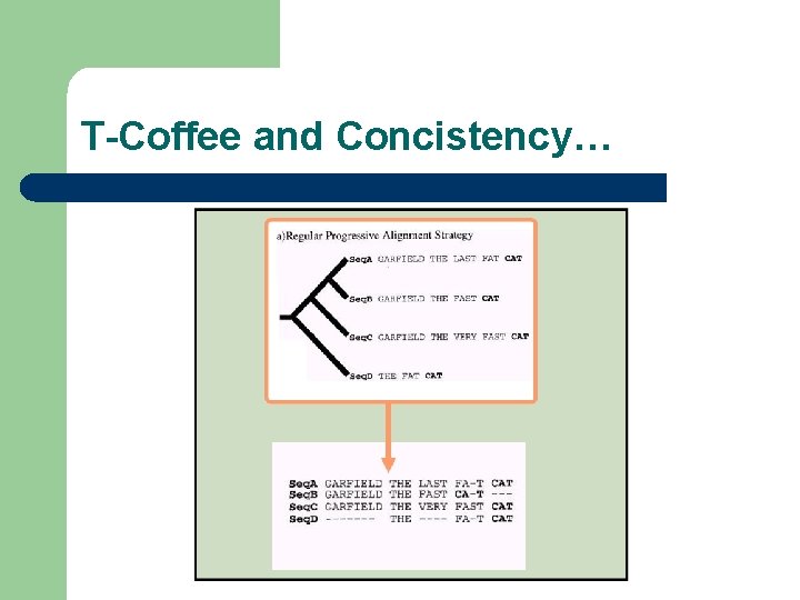 T-Coffee and Concistency… 