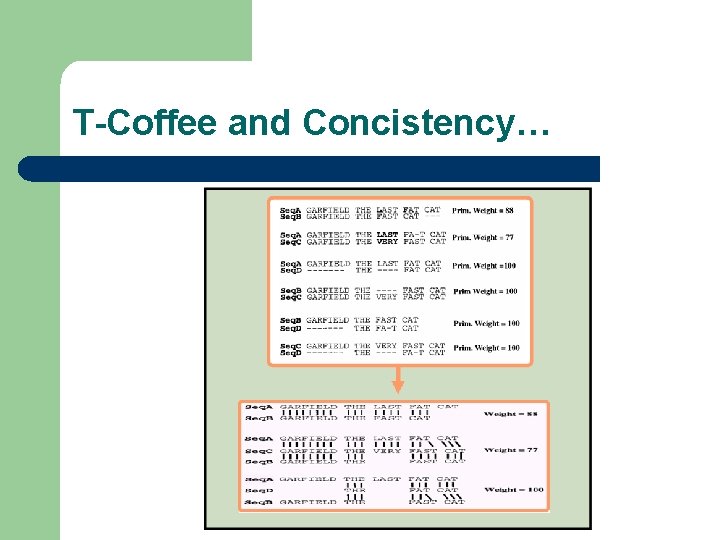 T-Coffee and Concistency… 