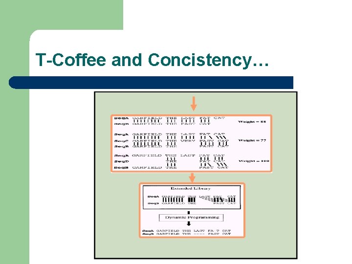 T-Coffee and Concistency… 