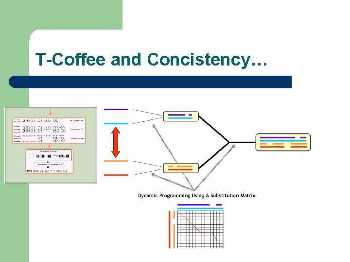 T-Coffee and Concistency… 