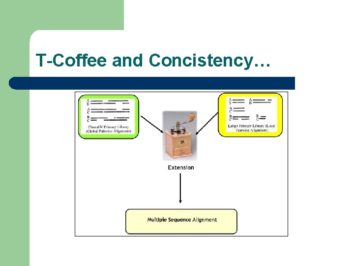 T-Coffee and Concistency… 