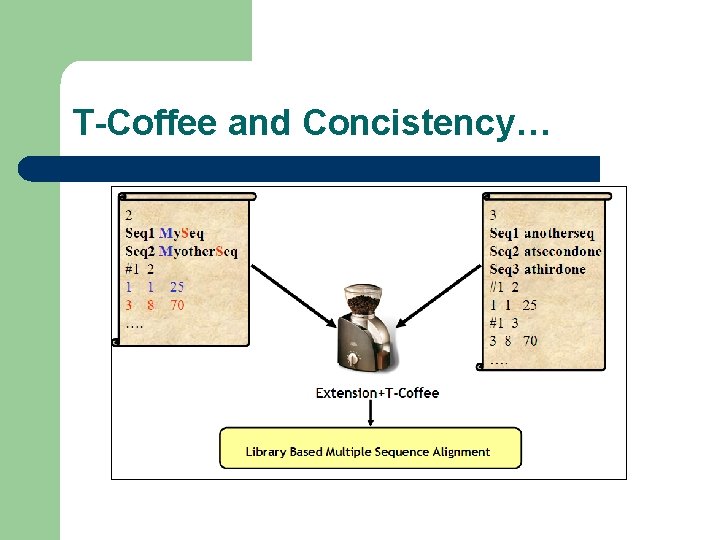 T-Coffee and Concistency… 