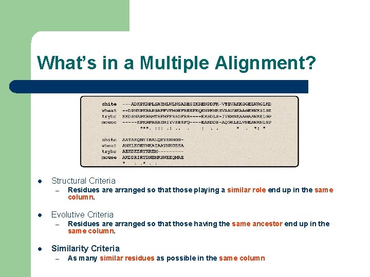 What’s in a Multiple Alignment? l Structural Criteria – l Evolutive Criteria – l