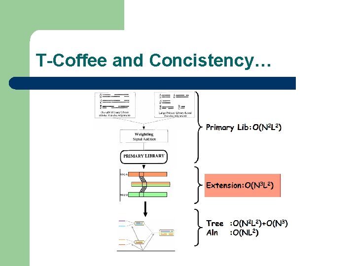 T-Coffee and Concistency… 