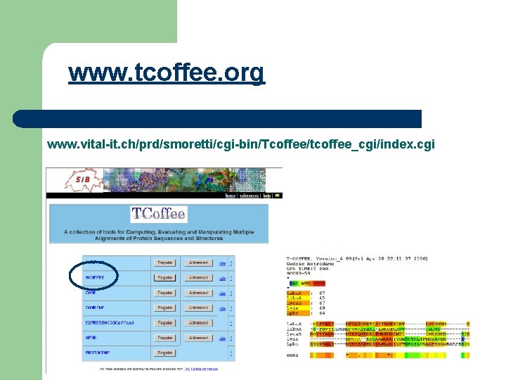 www. tcoffee. org www. vital-it. ch/prd/smoretti/cgi-bin/Tcoffee/tcoffee_cgi/index. cgi 