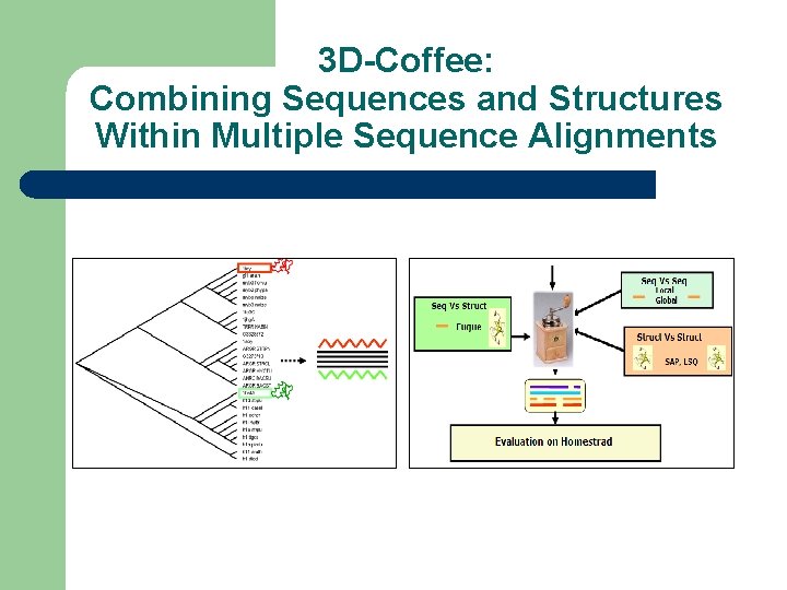 3 D-Coffee: Combining Sequences and Structures Within Multiple Sequence Alignments 