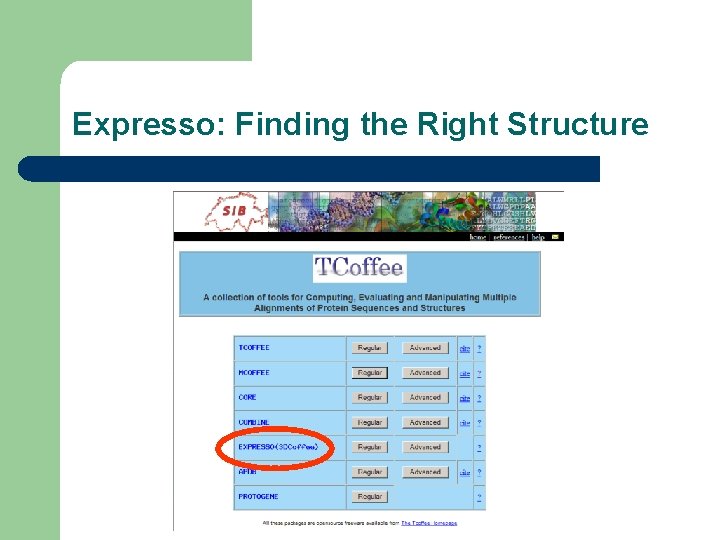 Expresso: Finding the Right Structure 