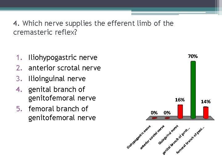 4. Which nerve supplies the efferent limb of the cremasteric reflex? 1. 2. 3. 4. Which nerve supplies the efferent limb of the cremasteric reflex? 1. 2. 3.