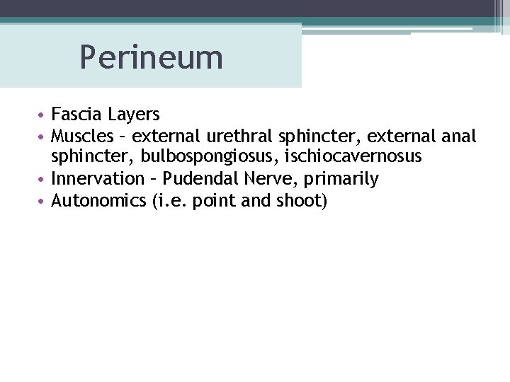 Perineum • Fascia Layers • Muscles – external urethral sphincter, external anal sphincter, bulbospongiosus, Perineum • Fascia Layers • Muscles – external urethral sphincter, external anal sphincter, bulbospongiosus,