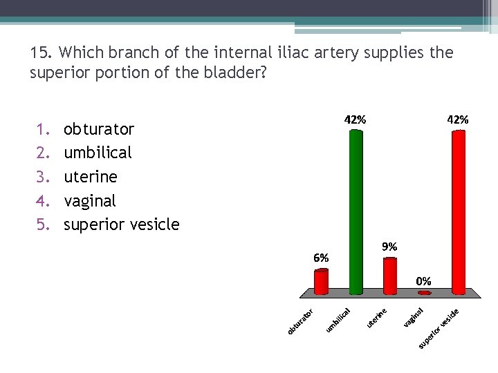 15. Which branch of the internal iliac artery supplies the superior portion of the 15. Which branch of the internal iliac artery supplies the superior portion of the