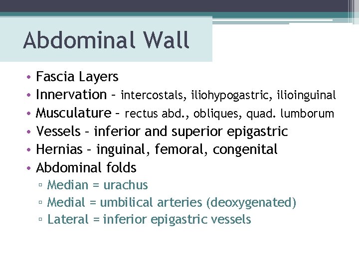 Abdominal Wall • • • Fascia Layers Innervation – intercostals, iliohypogastric, ilioinguinal Musculature – Abdominal Wall • • • Fascia Layers Innervation – intercostals, iliohypogastric, ilioinguinal Musculature –