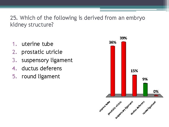 25. Which of the following is derived from an embryo kidney structure? 1. 2. 25. Which of the following is derived from an embryo kidney structure? 1. 2.
