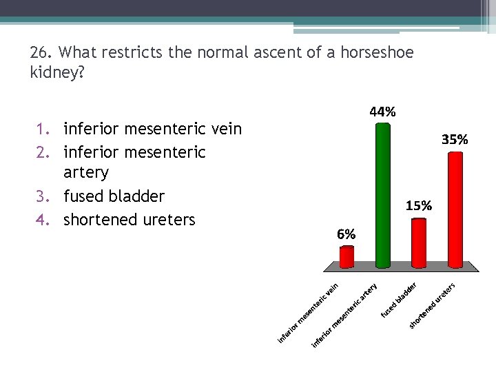 26. What restricts the normal ascent of a horseshoe kidney? 1. inferior mesenteric vein 26. What restricts the normal ascent of a horseshoe kidney? 1. inferior mesenteric vein