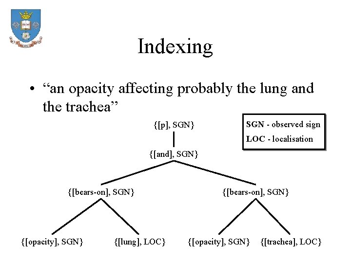 Indexing • “an opacity affecting probably the lung and the trachea” {[p], SGN} SGN