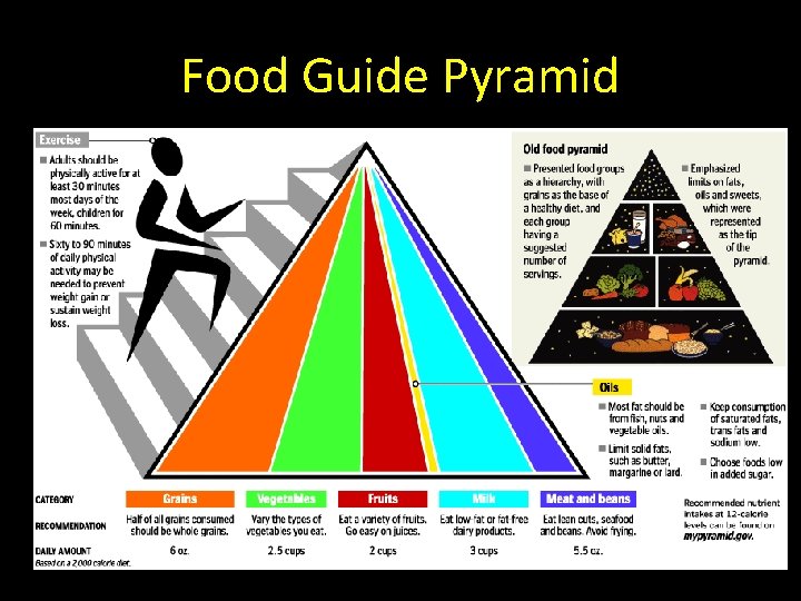 Food Guide Pyramid 