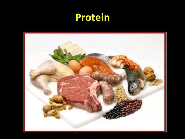 Protein 