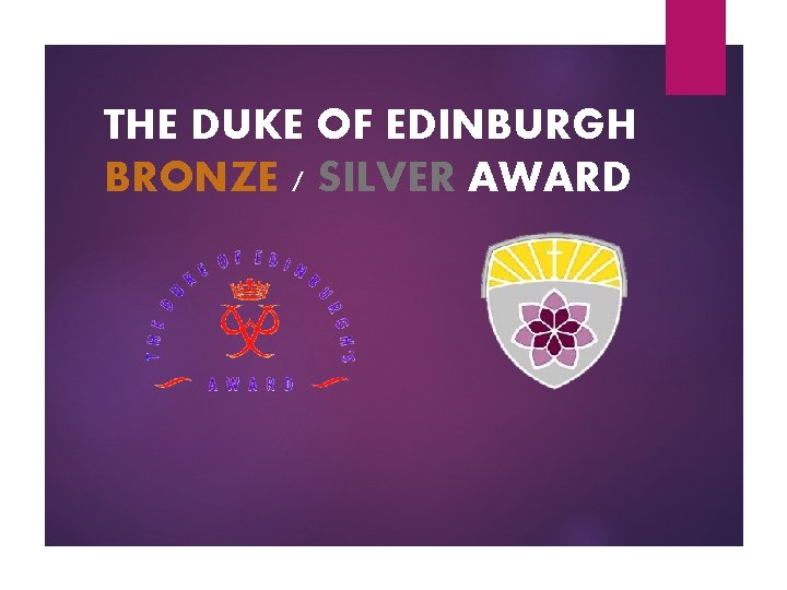 THE DUKE OF EDINBURGH BRONZE / SILVER AWARD 
