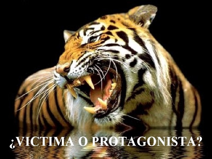 ¿VICTIMA O PROTAGONISTA? 