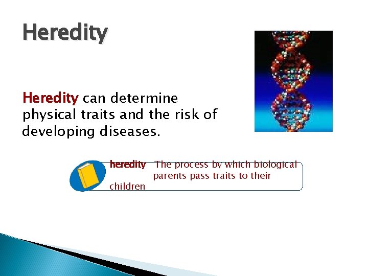 Heredity can determine physical traits and the risk of developing diseases. heredity The process Heredity can determine physical traits and the risk of developing diseases. heredity The process