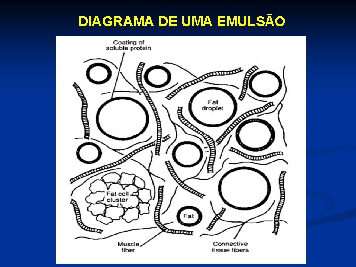 DIAGRAMA DE UMA EMULSÃO 