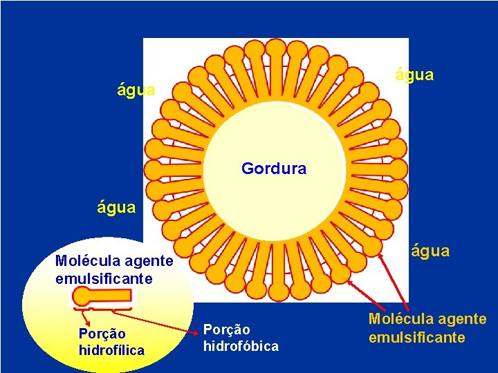 água Gordura água Molécula agente emulsificante Porção hidrofílica Porção hidrofóbica Molécula agente emulsificante 