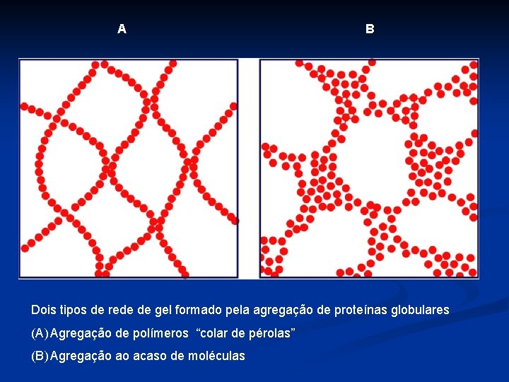  A B Dois tipos de rede de gel formado pela agregação de proteínas