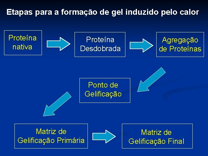 Etapas para a formação de gel induzido pelo calor Proteína nativa Proteína Desdobrada Agregação