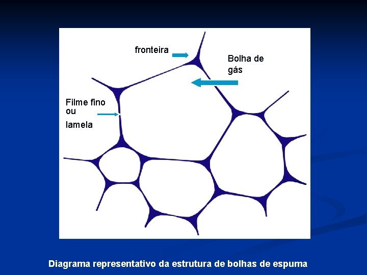 fronteira Bolha de gás Filme fino ou lamela Diagrama representativo da estrutura de bolhas